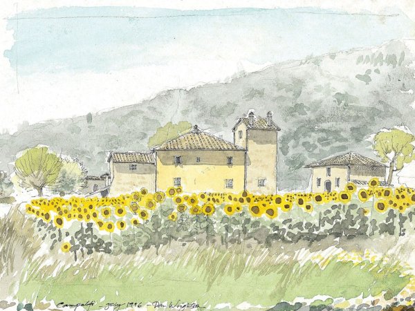 Campalfi in sunflowers | A rambling farmhouse by the river Merse
